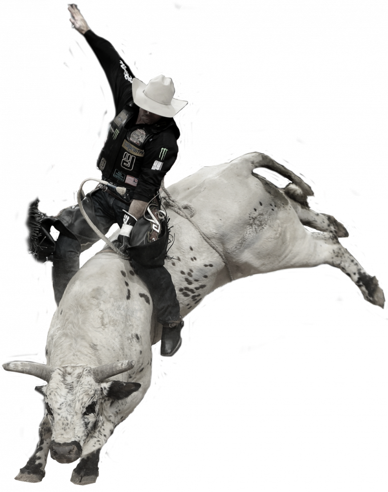 bull-2 1 copy
